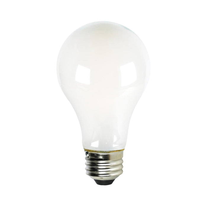 Medium Base A Type LED Bulb in Soft White (8W/2700K).