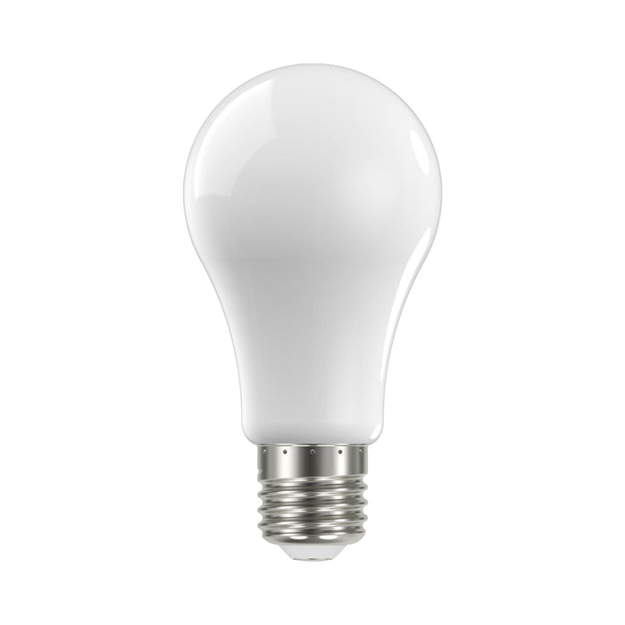 Medium Base A Type LED Bulb in Soft White (13.5W/2700K).
