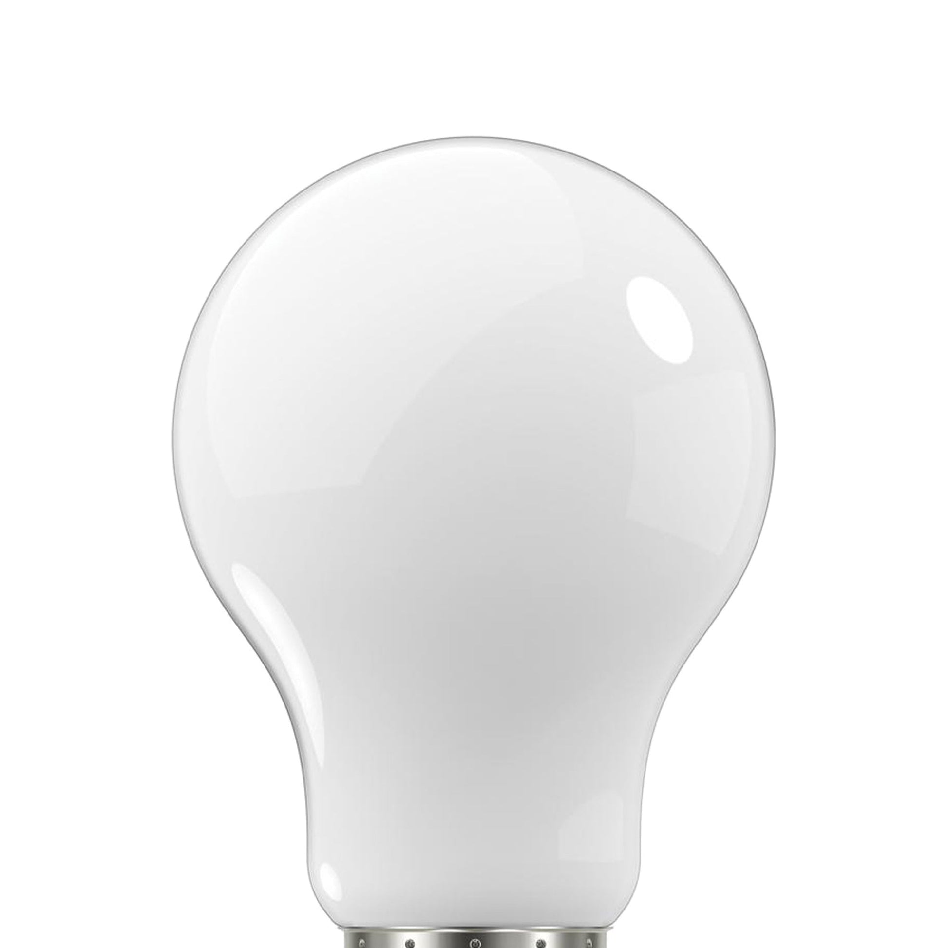 Medium Base A Type LED Bulb in Detail.