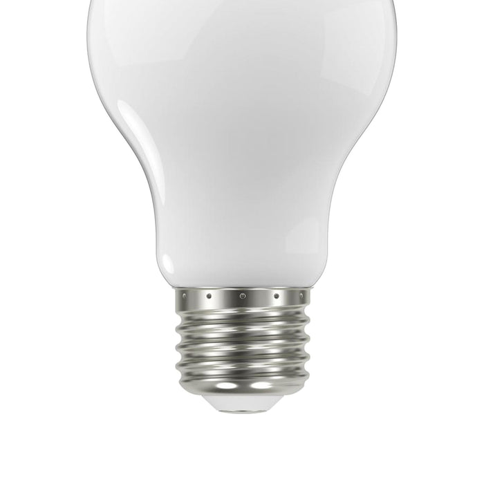 Medium Base A Type LED Bulb in Detail.
