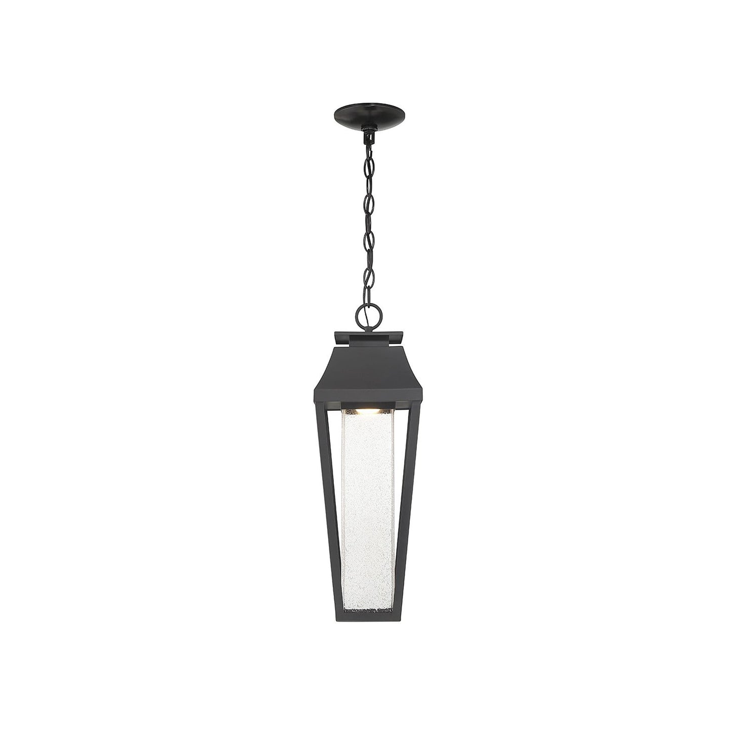 Brookline Outdoor LED Pendant Light in Detail.