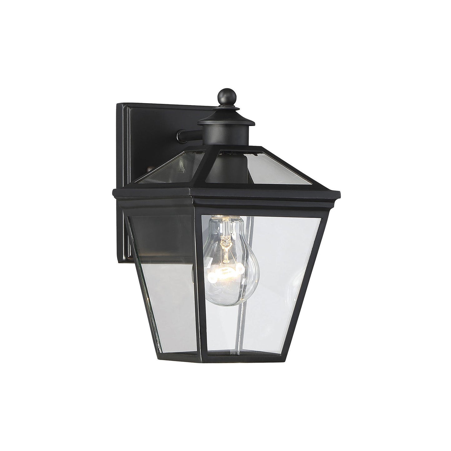 Ellijay Outdoor Wall Light in Black (1-Light).