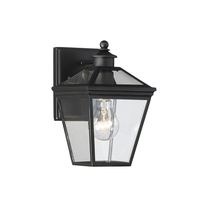 Ellijay Outdoor Wall Light in Black (1-Light).