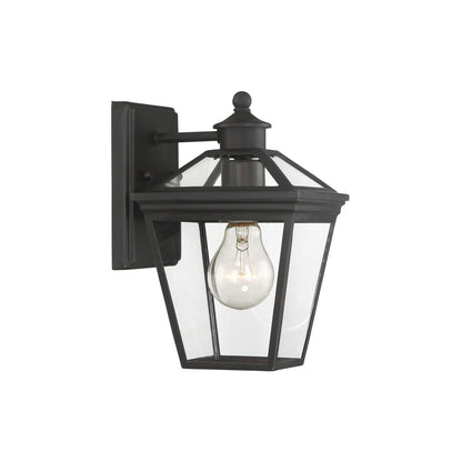 Ellijay Outdoor Wall Light.