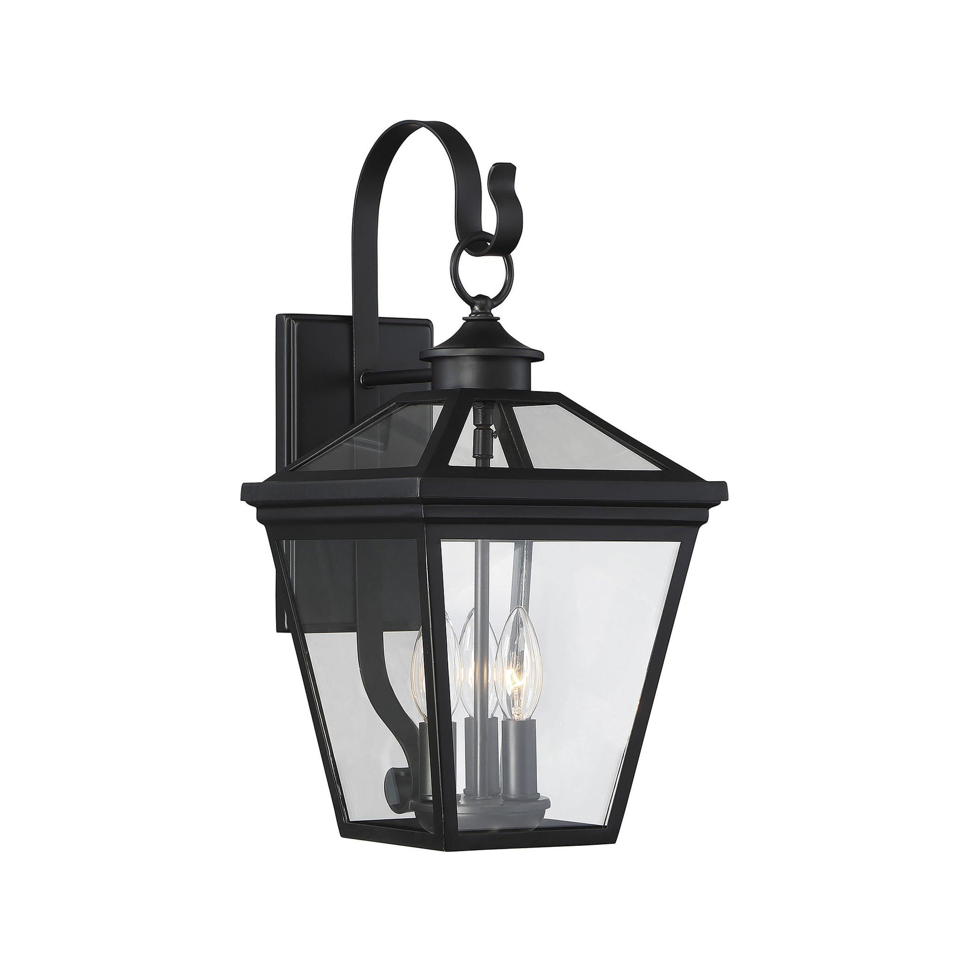 Ellijay Outdoor Wall Light in Black (3-Light).