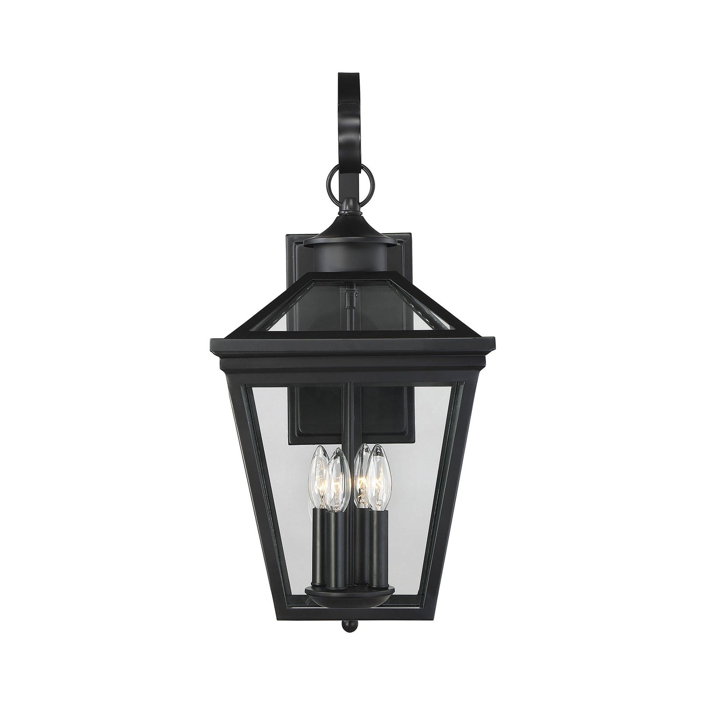 Ellijay Outdoor Wall Light in Detail.