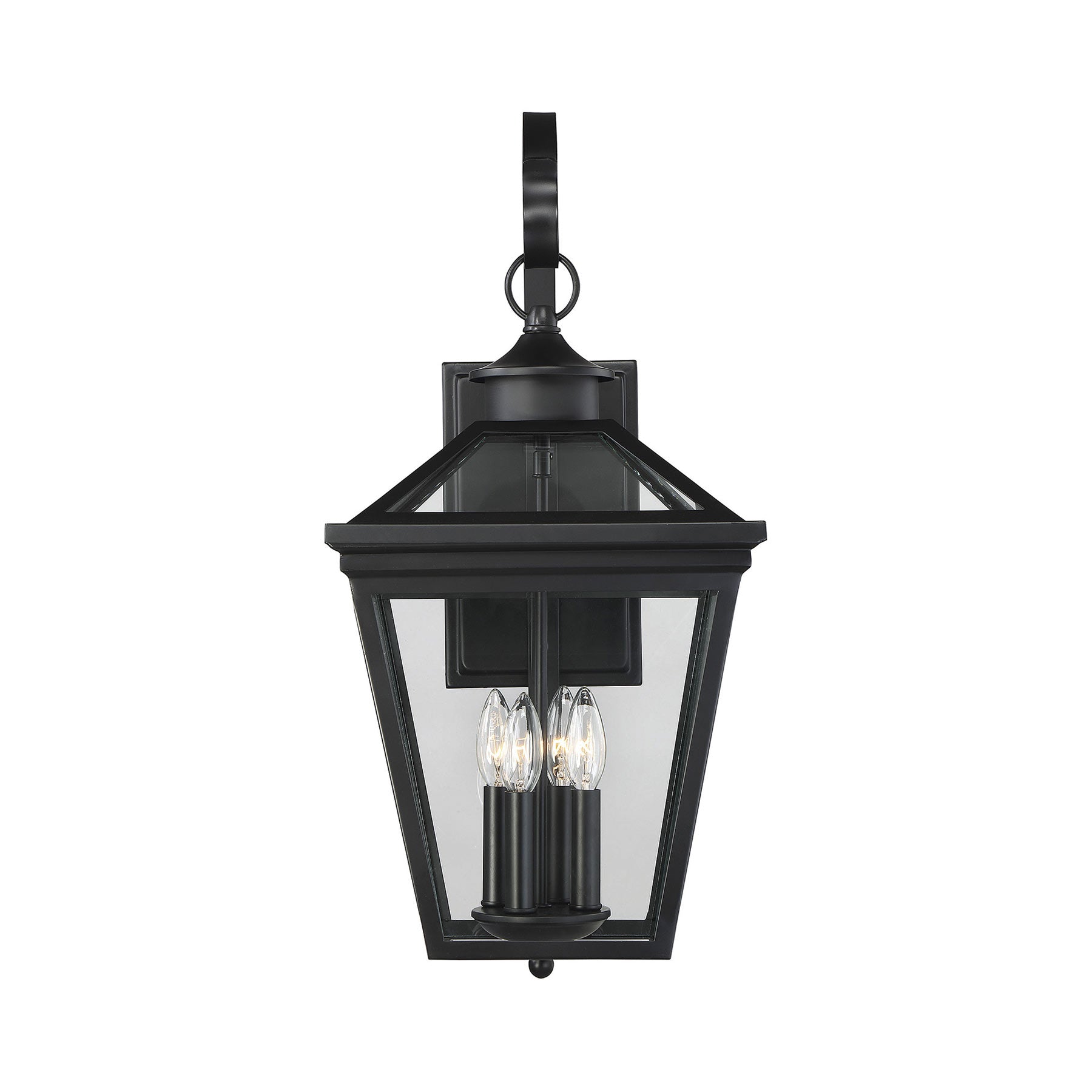 Ellijay Outdoor Wall Light in Detail.