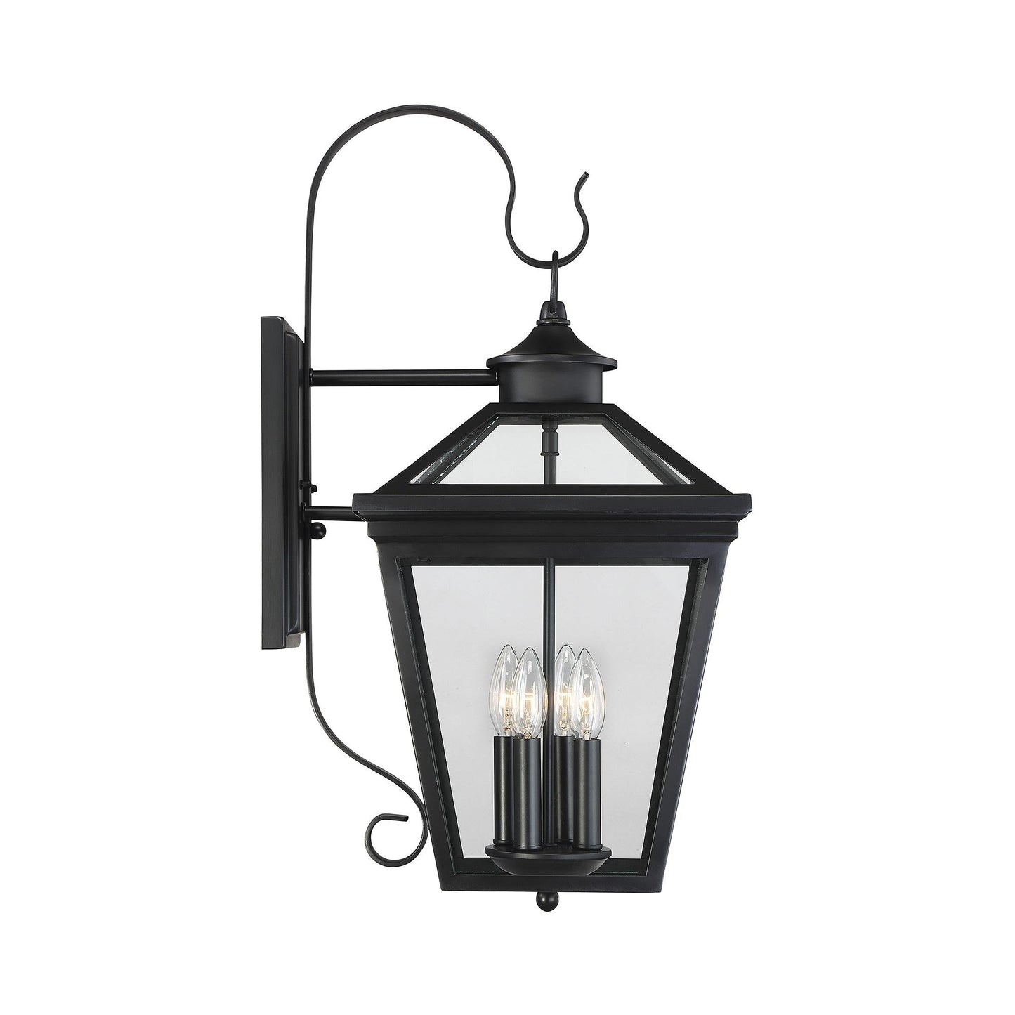 Ellijay Outdoor Wall Light in Detail.