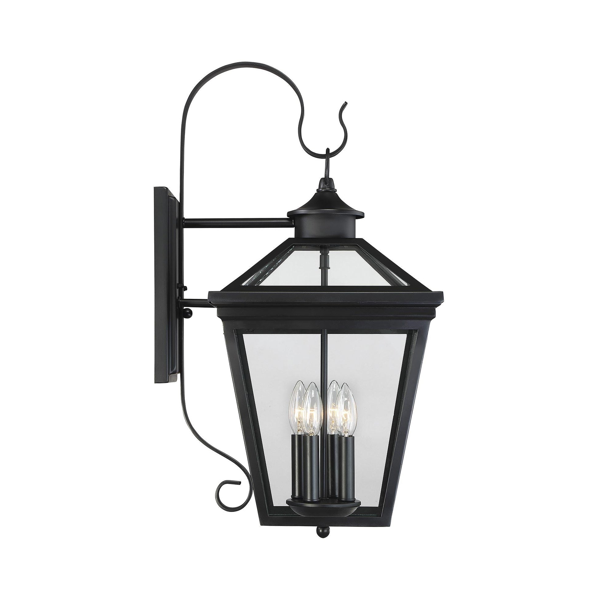 Ellijay Outdoor Wall Light in Detail.