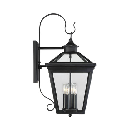 Ellijay Outdoor Wall Light in Detail.