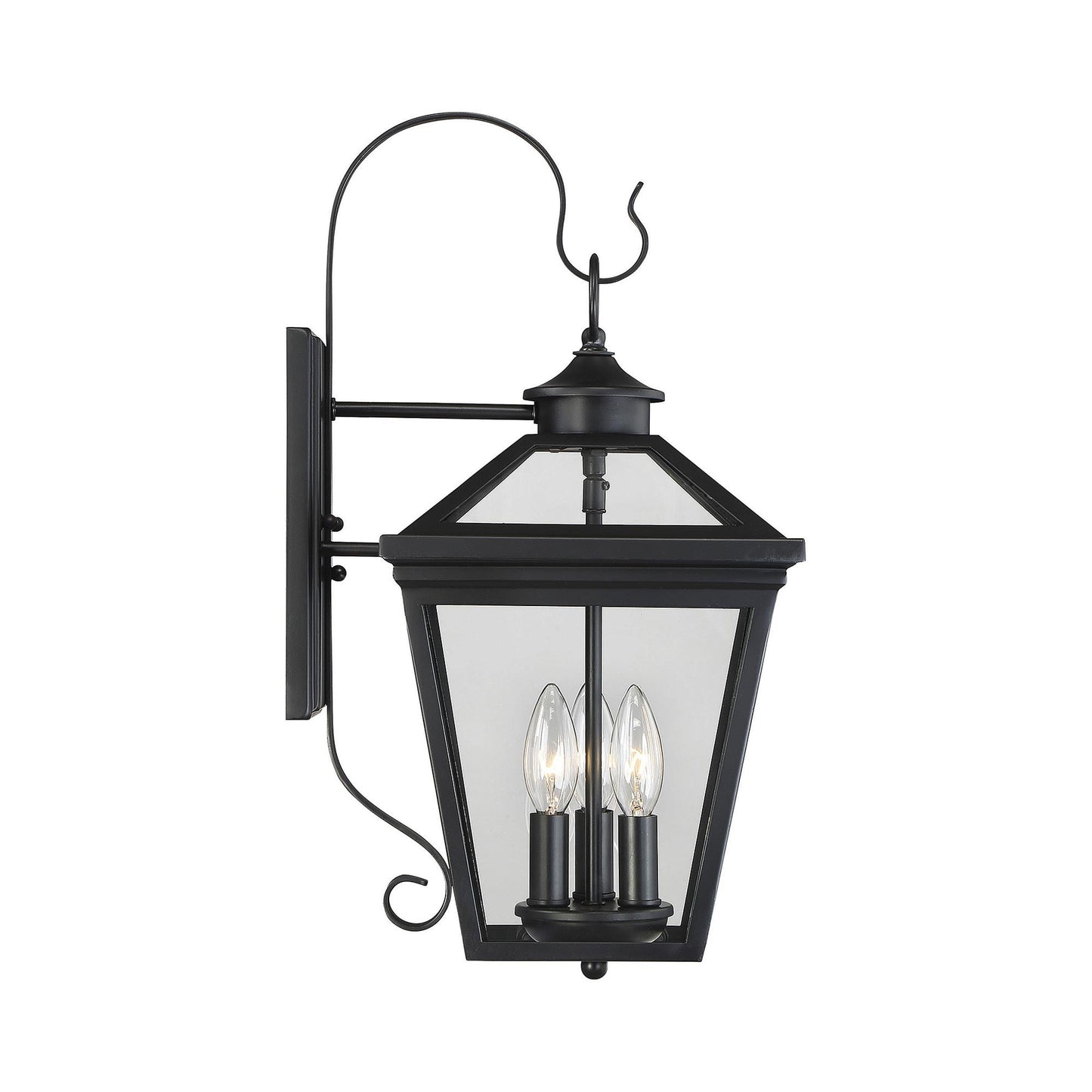 Ellijay Outdoor Wall Light in Detail.