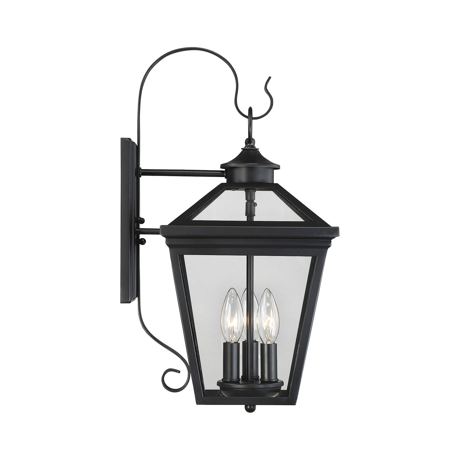 Ellijay Outdoor Wall Light in Detail.