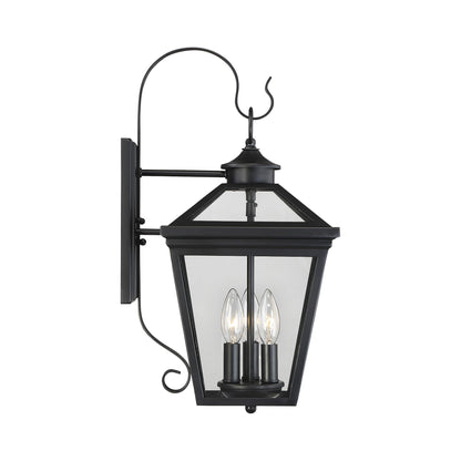 Ellijay Outdoor Wall Light in Detail.