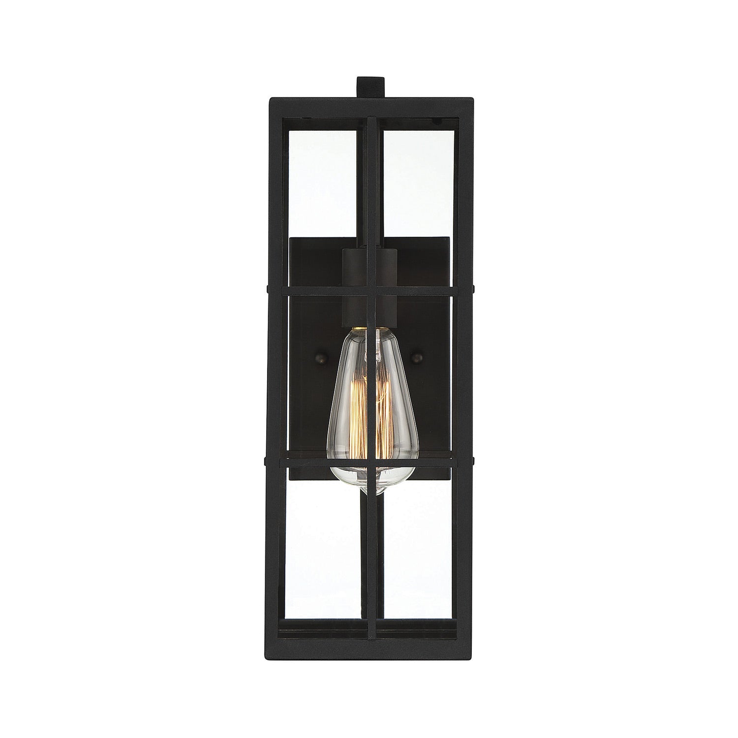 Ericson Outdoor Wall Light in Detail.