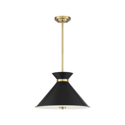 Lamar Pendant Light in Black.