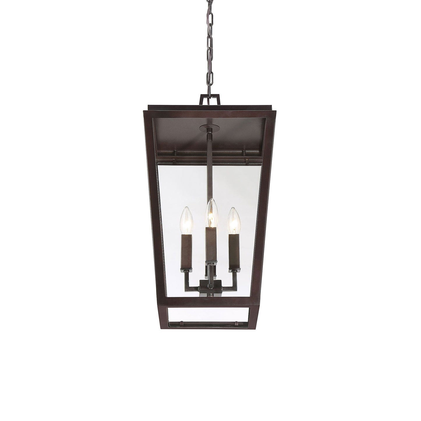 Milton Outdoor Pendant Light in Detail.