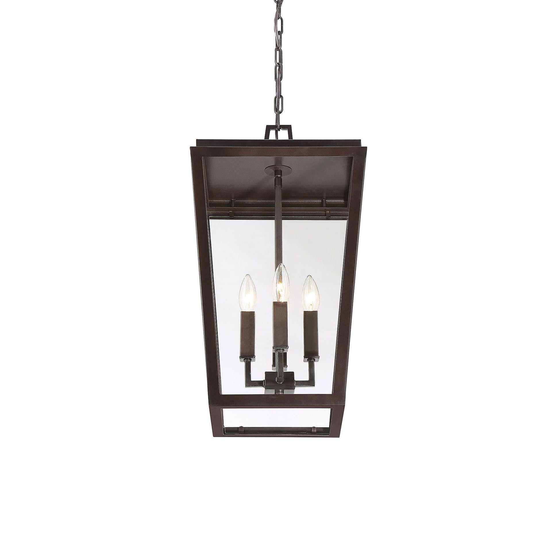 Milton Outdoor Pendant Light in Detail.