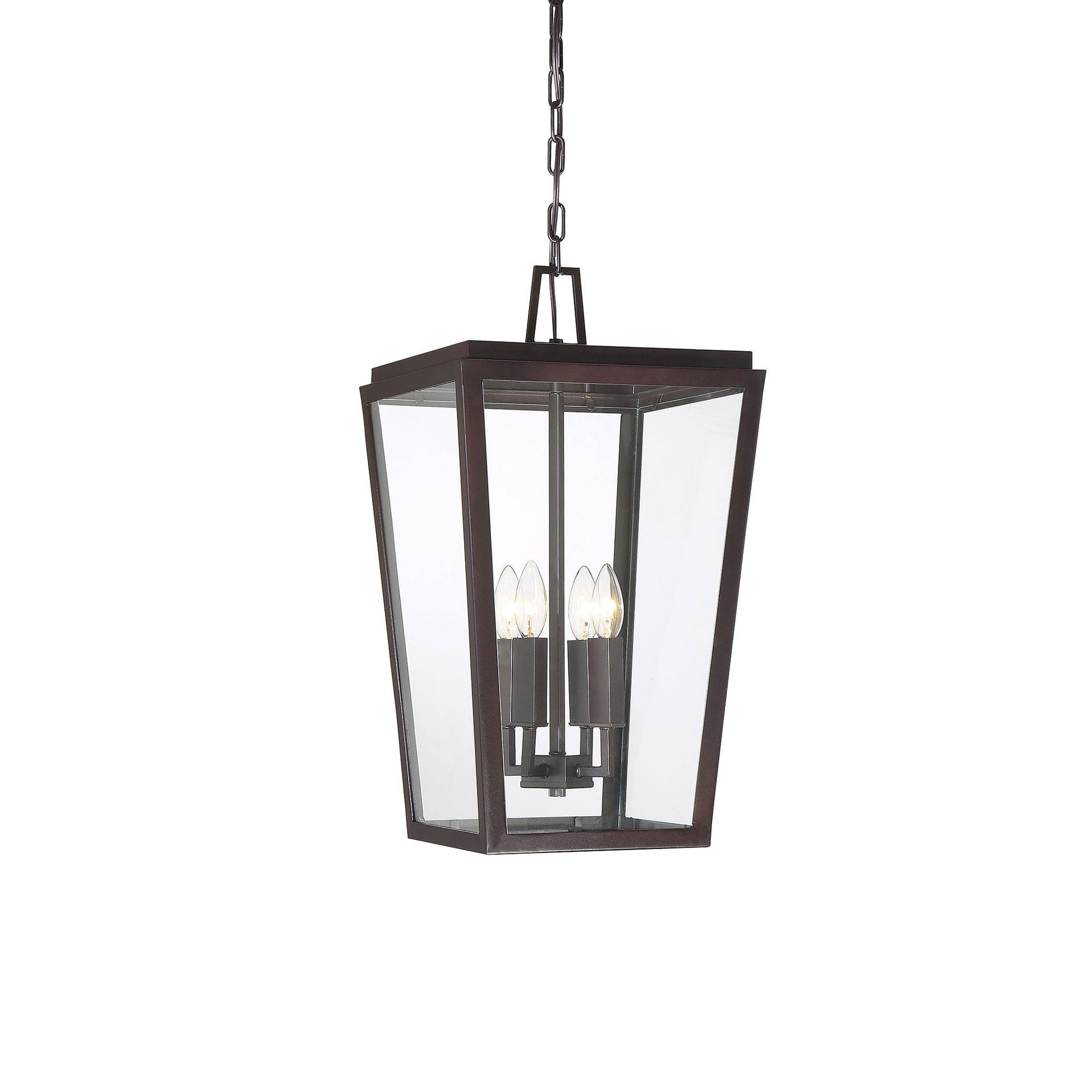 Milton Outdoor Pendant Light in Detail.