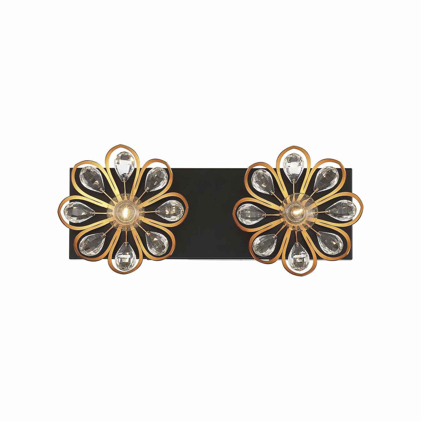 Poppy Vanity Wall Light in Matte Black/Warm Brass Accents (2-Light).