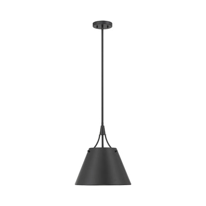 Willis Pendant Light in Matte Black.