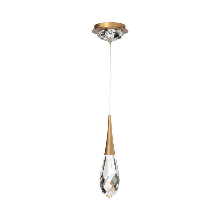 Hibiscus LED Mini Pendant Light in Aged Brass.