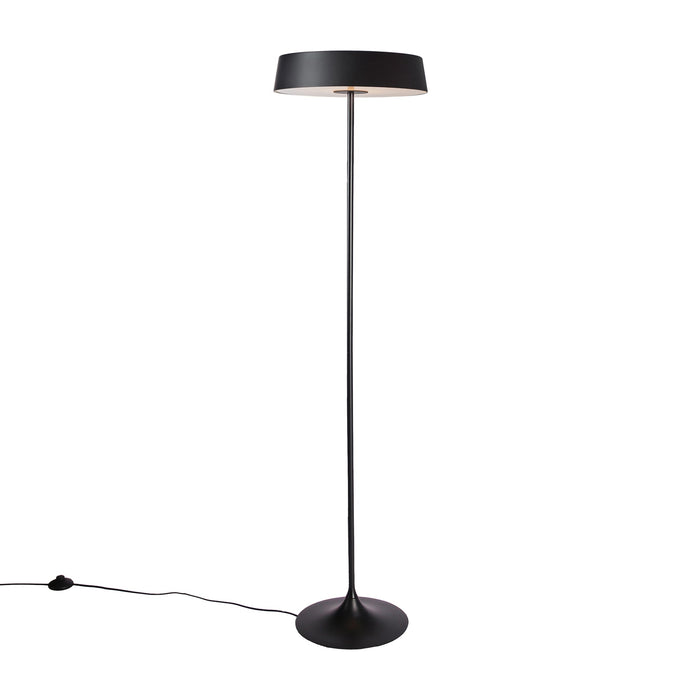 China LED Floor Lamp in Black.