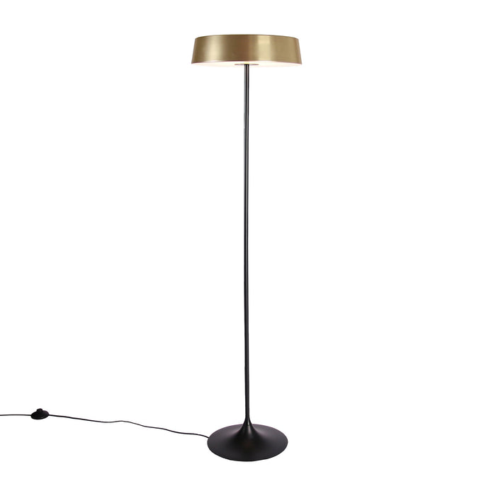 China LED Floor Lamp in Brass.