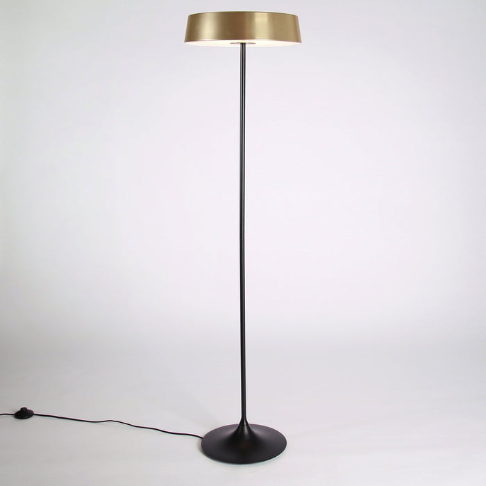 China LED Floor Lamp in Detail.