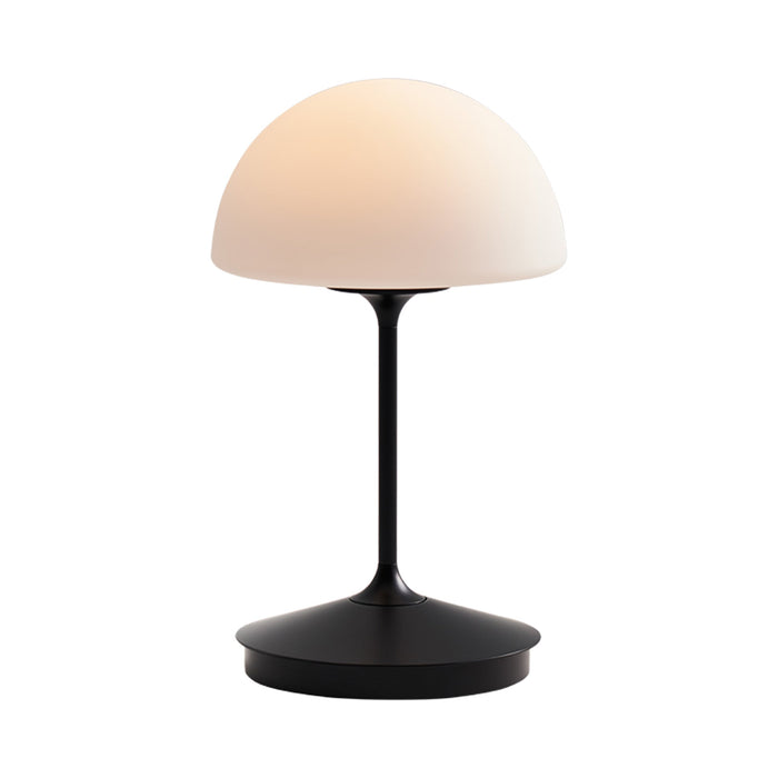 Pensee LED Table Lamp in Black.
