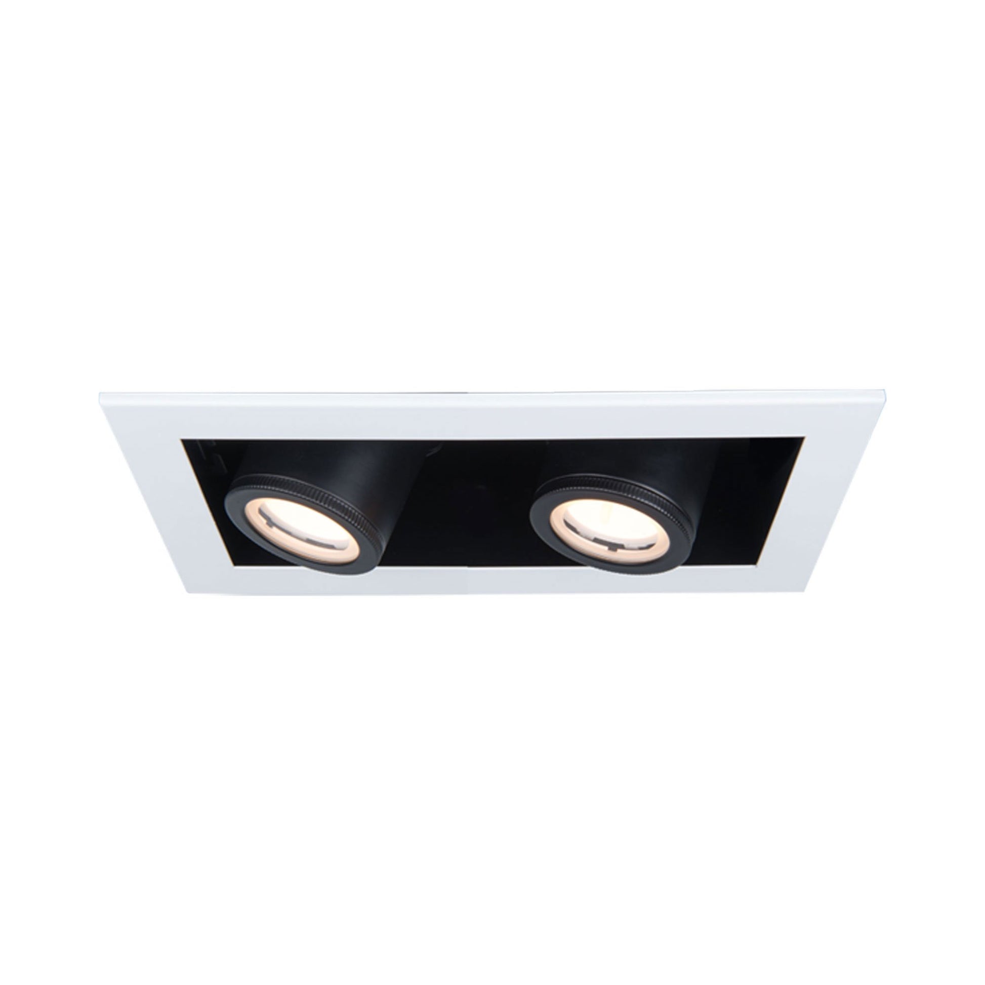 Silo Multiples 2 Light LED Recessed Trim in White/Black (Trim).