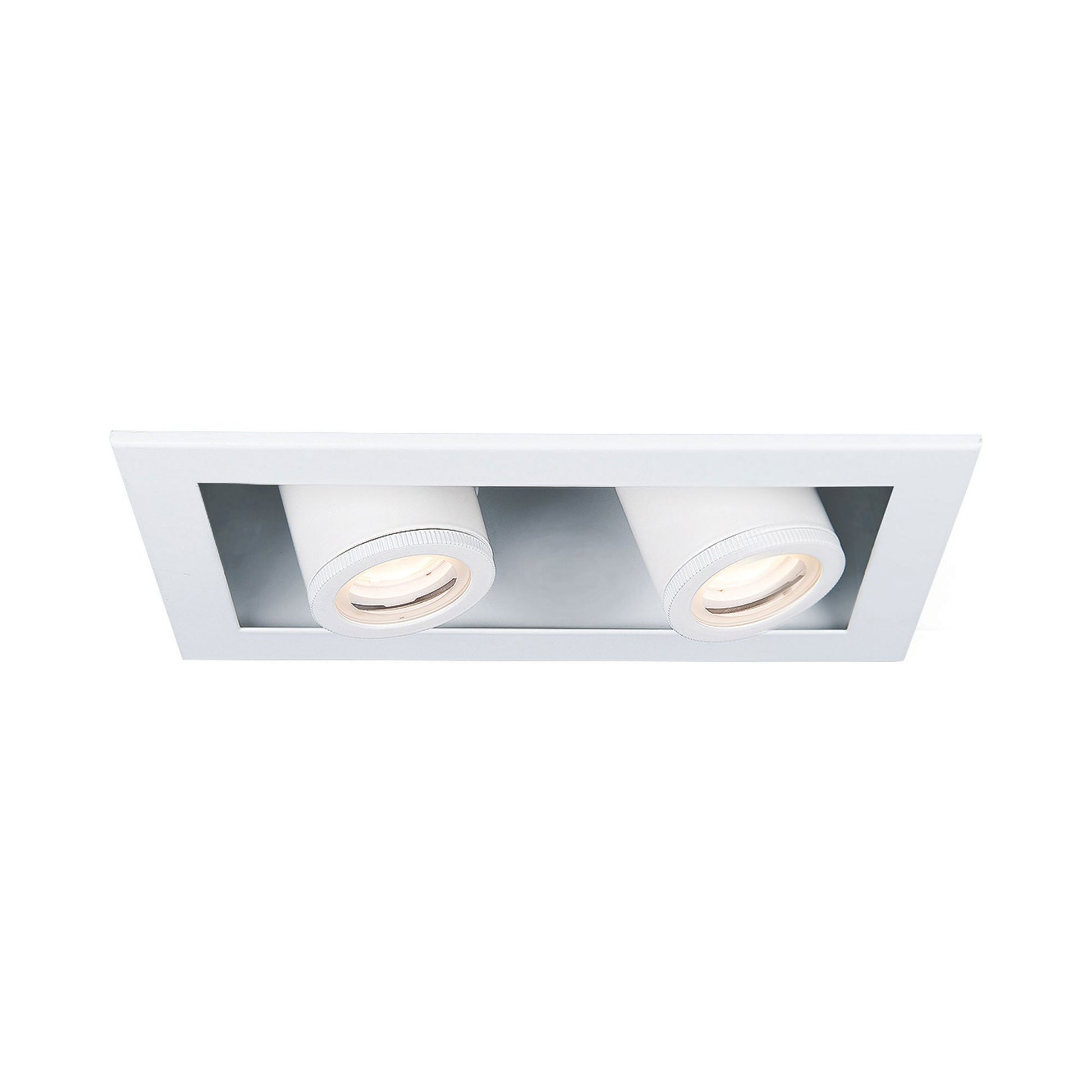 Silo Multiples 2 Light LED Recessed Trim in White (Trim).