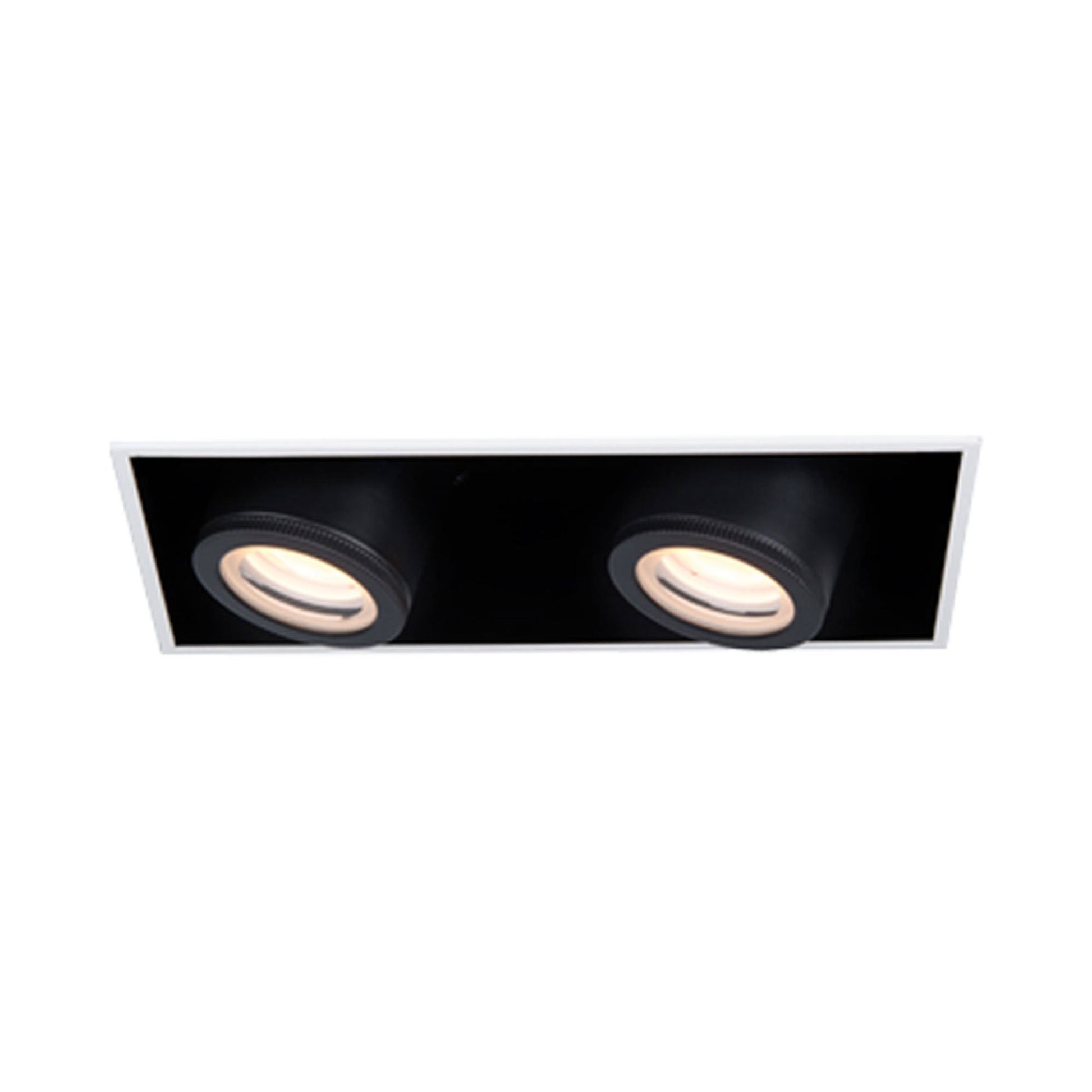 Silo Multiples 2 Light LED Recessed Trim in White/Black (Trimless).