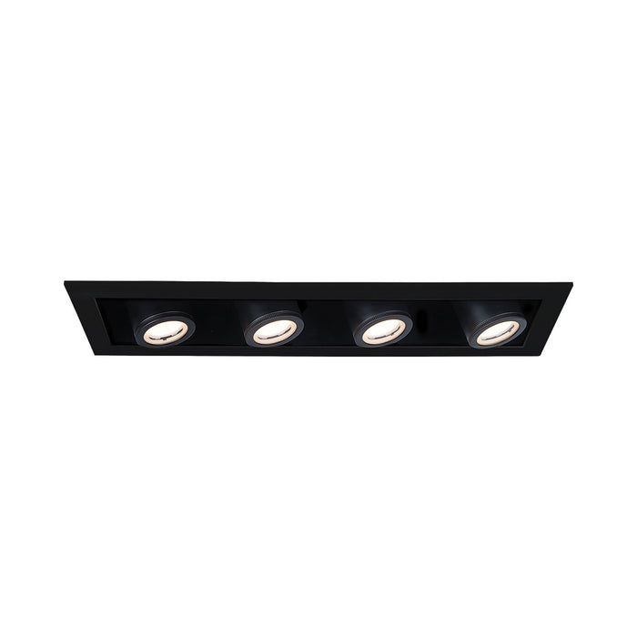 Silo Multiples 4 Light LED Recessed Trim in Black (Trim).