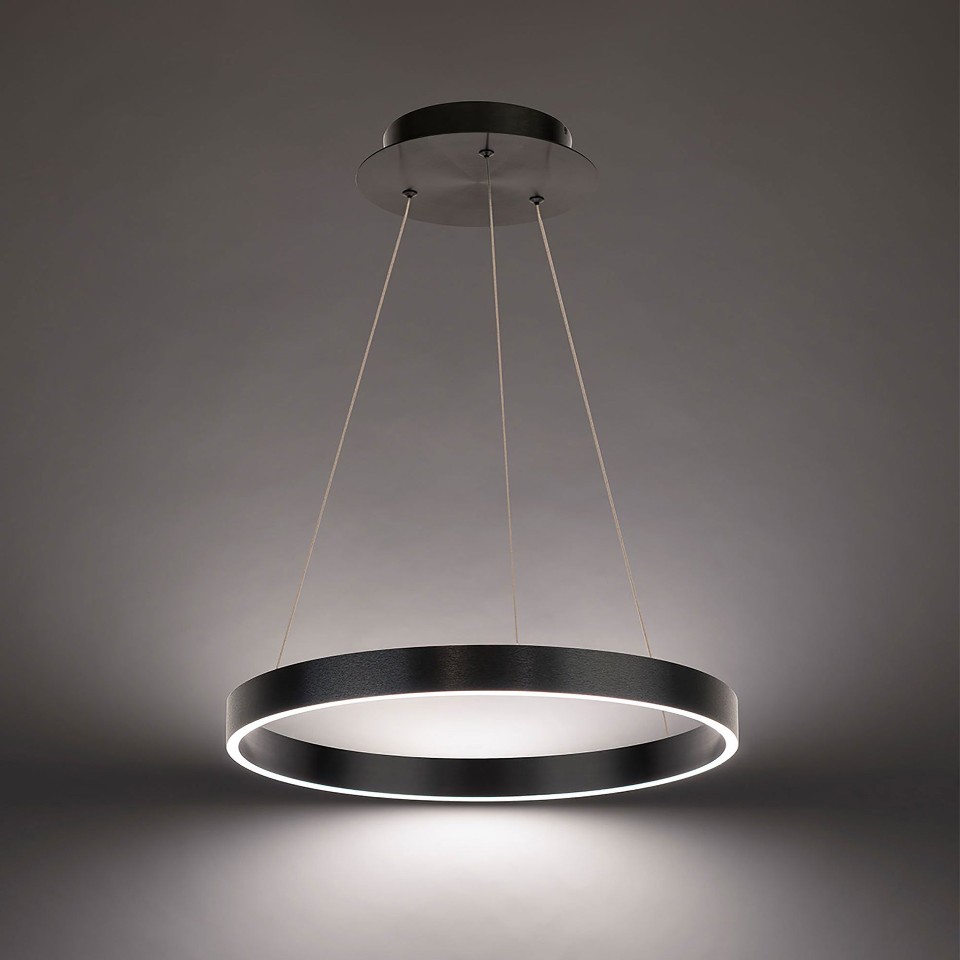 Sirius LED Pendant Light in Detail.