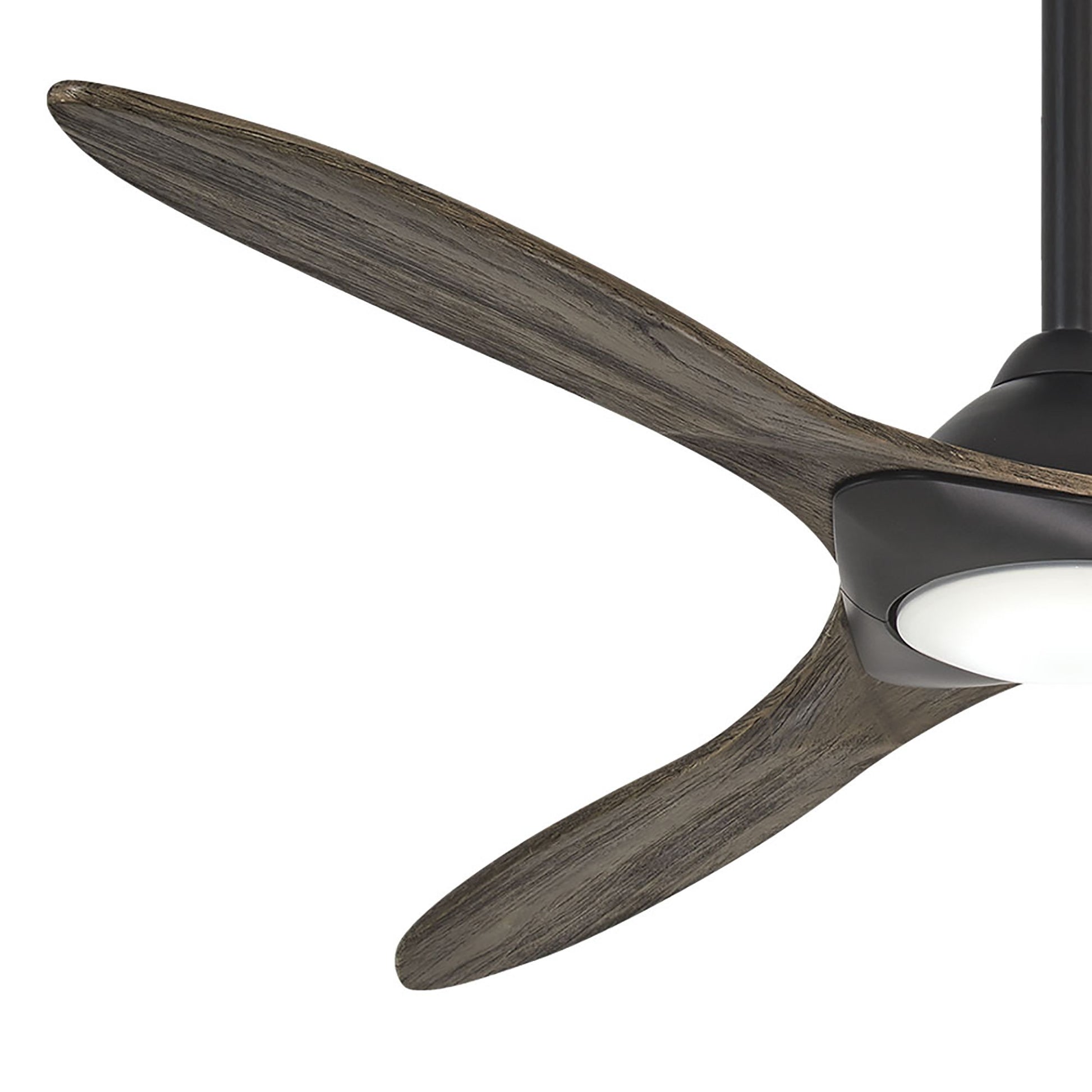 Sleek LED Ceiling Fan in Detail.