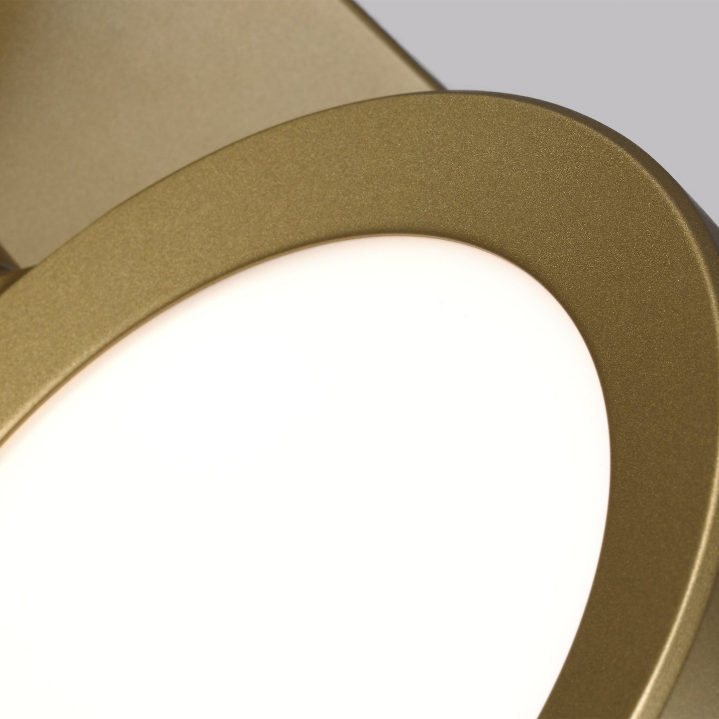 Spectica LED Wall Light in Detail.