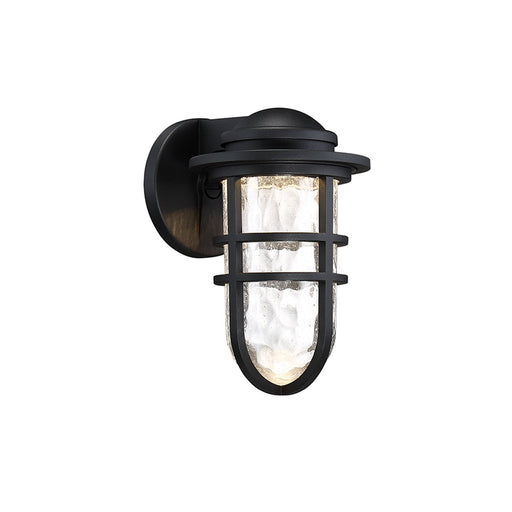 Steampunk Indoor/Outdoor LED Wall Light.