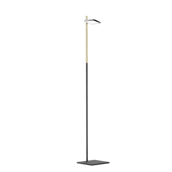 Talia LED Floor Lamp in Black/Brass.