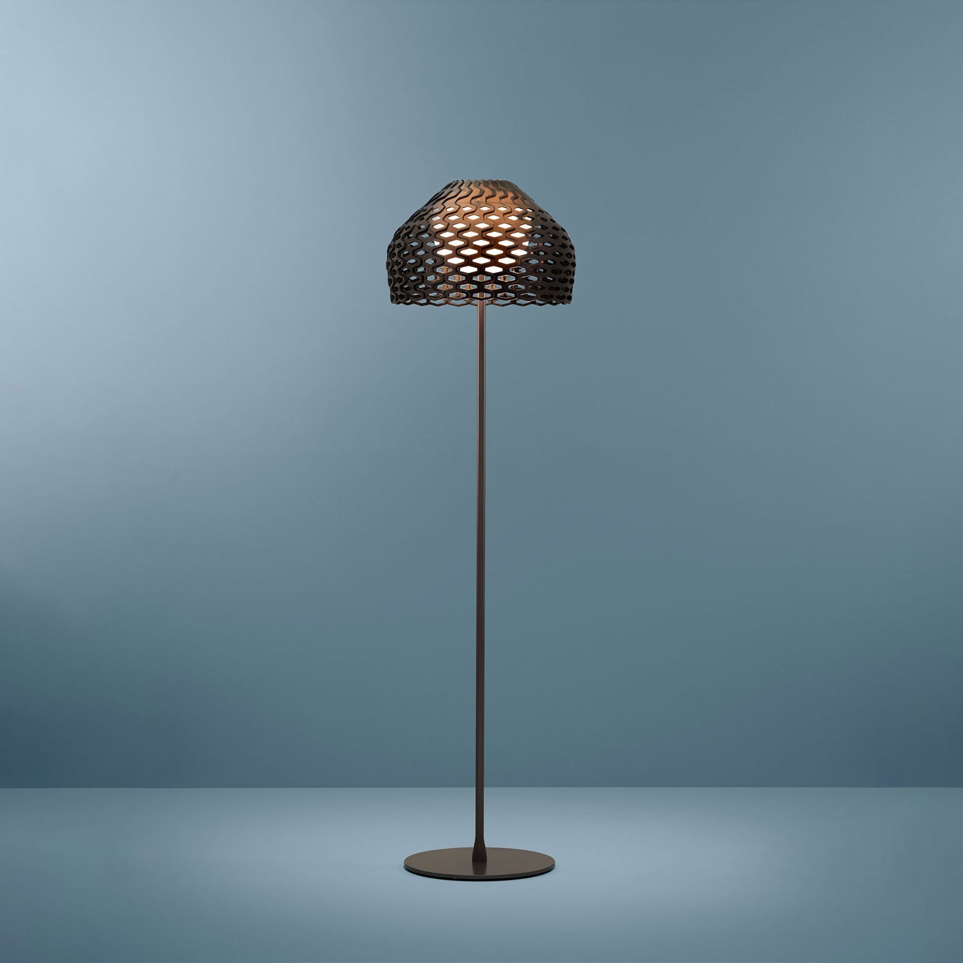 Tatou Floor Lamp Illuminated