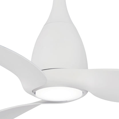 Tear LED Ceiling Fan in Detail.