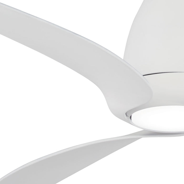 Tear LED Ceiling Fan in Detail.