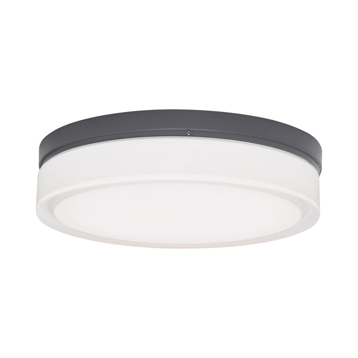 Cirque Outdoor LED Ceiling / Wall Light in Charcoal (Large).