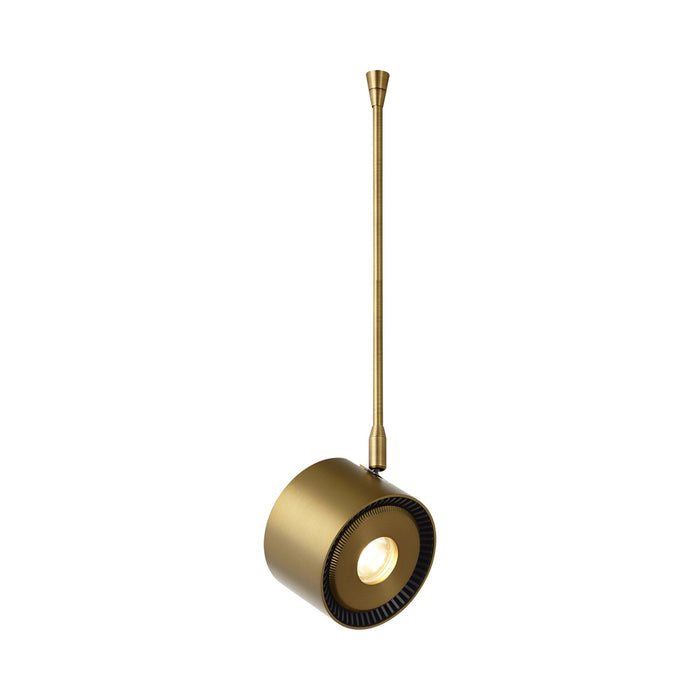 Iso 700FJISO9 Low Voltage LED FreeJack Head in Aged Brass.