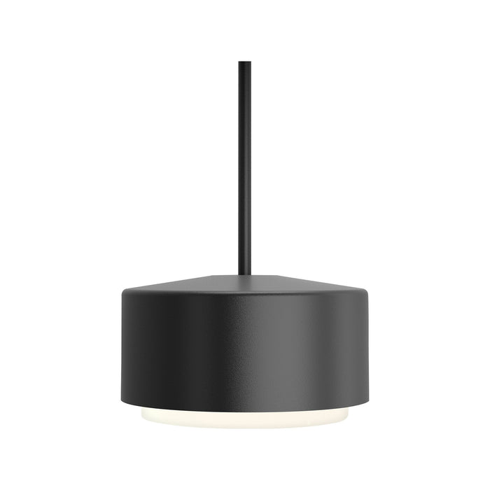 Roton Outdoor LED Pendant Light in Black (Small).