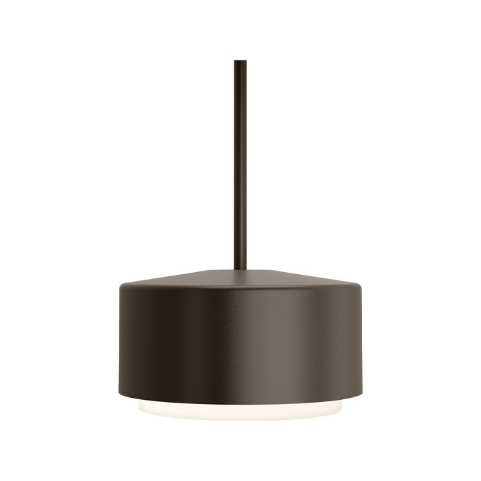 Roton Outdoor LED Pendant Light in Bronze (Small).