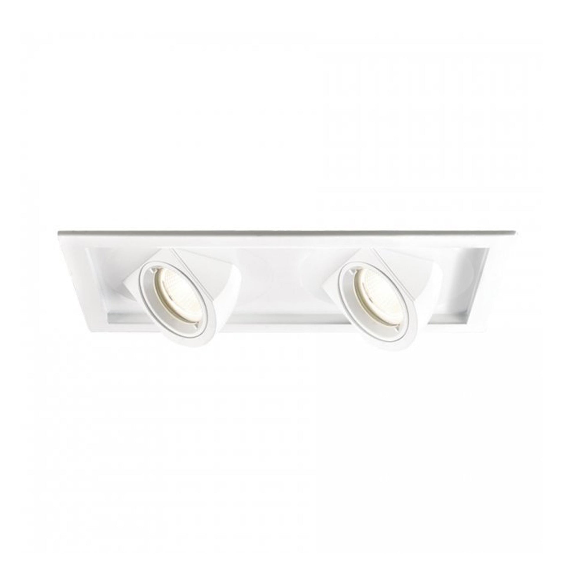 Tesla Multiple Spots 2-Light LED Recessed Trim.