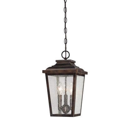 Irvington Manor Outdoor Pendant Light in Clear Seeded Glass (Small/Incandescent).