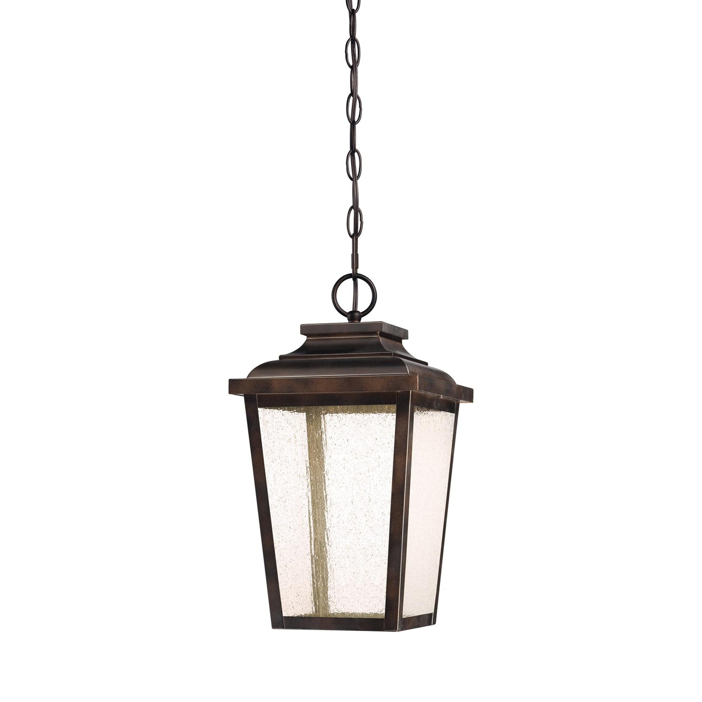 Irvington Manor Outdoor Pendant Light in Clear Seeded Glass (Small/LED).