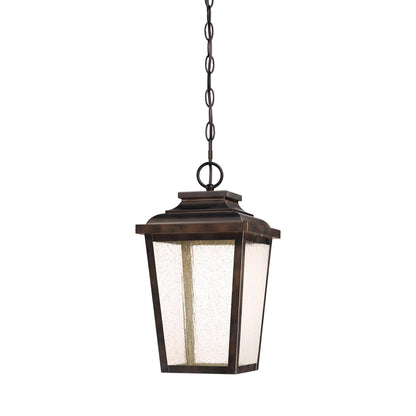 Irvington Manor Outdoor Pendant Light in Clear Seeded Glass (Small/LED).