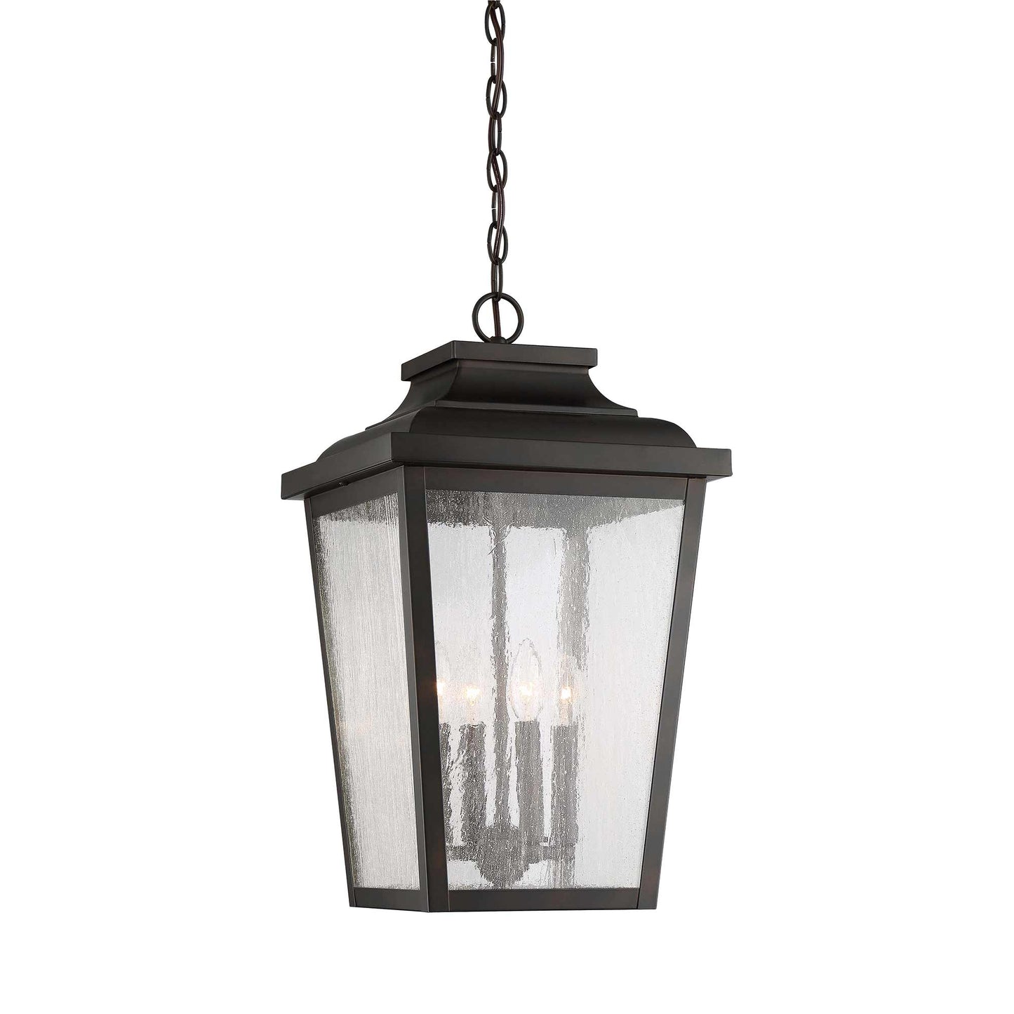 Irvington Manor Outdoor Pendant Light in Clear Seeded Glass (Large/Incandescent).